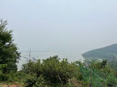 -宝界山林公园