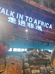 -卡通尼·Safari非洲探索乐园·生日会(金桥国际商业广场店)
