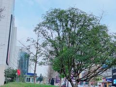 -居然之家(两江国际MALL店)