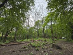 -香炉山国家森林公园