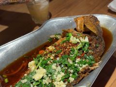 -树厨贵州菜(大十字店)