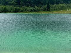 -武陵山森林公园