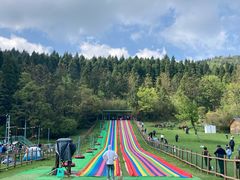 -武陵山森林公园