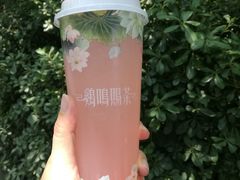 柠檬芭乐-鸡鸣赐茶(鸡鸣寺路店)