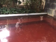 -仁爱团泊湖温泉中心