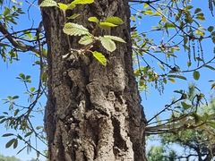-天津盘山风景名胜区