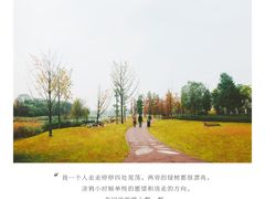 -两河城市森林公园