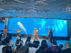 -海合安成都极地海洋公园