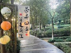 -天目湖山水园