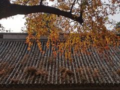 -潭柘寺景区