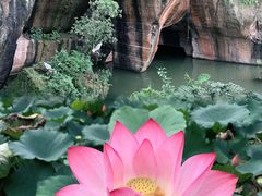 -广州莲花山旅游区