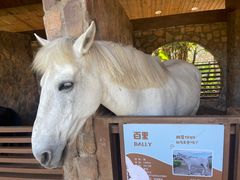 -珠海海泉湾神秘岛亲子乐园