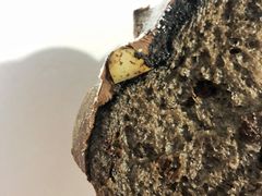 -LELECHA乐乐茶(新街口大洋店)