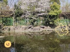 -八大山人梅湖景区