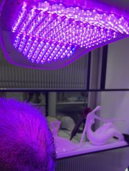 -熙朵美学植发·连锁品牌