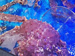 -盒马鲜生(悠方店)