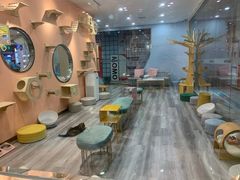 -BABIT巴比特宠物(MOMOPARK店)