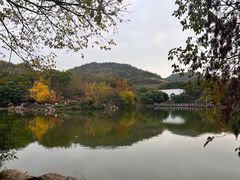 -白马涧龙池景区