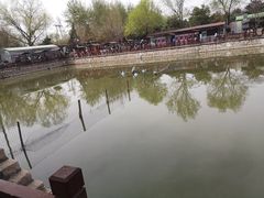 -尚庄度假村·庭台树下·户外烧烤·团建CS·轰趴营地(上庄水库店)
