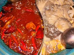 -吼堂老火锅(太古里总店)