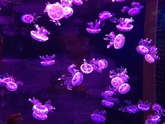 -多彩贵州城极地海洋世界