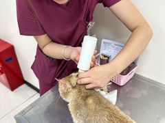 -美联众合动物医院·24h京西诊疗中心