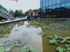 -南通洲际绿博园