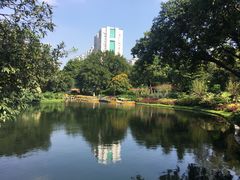 -晓港公园