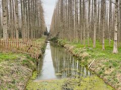 -东平国家森林公园