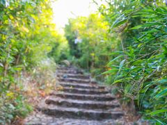 -东莞观音山旅游风景区
