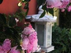 -北京石刻艺术博物馆(五塔寺)
