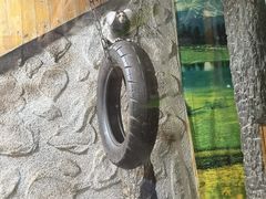 -上海大自然野生昆虫馆(东方明珠·爬宠昆虫探索中心)