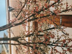 -蜜桃餐厅·伴山(湖滨商业街店)