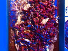 -鱼酷活鱼烤鱼(恒隆广场店)