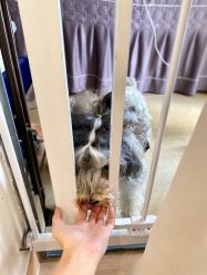 -Adore nail日式美甲美睫