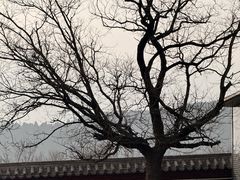 -中岳庙