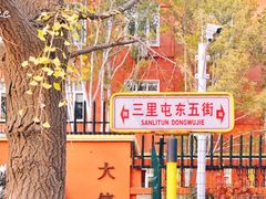 -三里屯东五街银杏大道