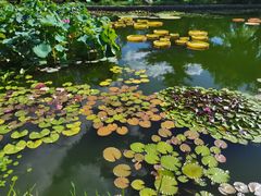 -国家植物园南园