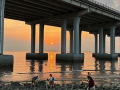 -宝安西湾红树林湿地公园