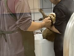 -BABIT巴比特宠物(MOMOPARK店)