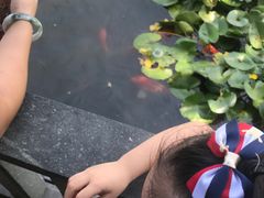 -西湖外事游船(花港观鱼码头)