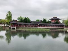 -广富林郊野公园