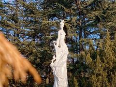 -莱西月湖公园