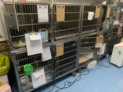 -北京赛佳动物医院