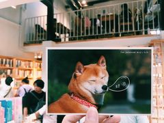 -猫的天空之城概念书店(苏州平江店)