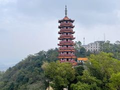 -大雁山风景区