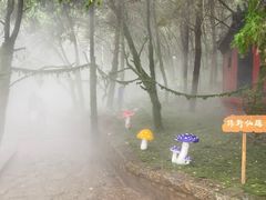 -腊山国家森林公园