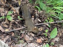 -终南山南五台景区