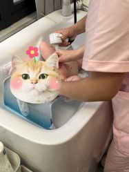 -安琪朵朵独栋花园月子中心