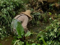 -昆明植物园